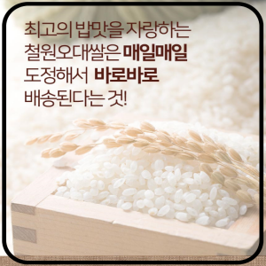 철원동신미곡처리장 두루웰철원오대쌀,[철원동신미곡 23년산DMZ햅쌀]4KG두루웰철원오대쌀