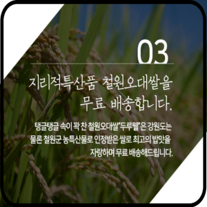 철원동신미곡처리장 두루웰철원오대쌀,원더라이브[철원동신미곡 24년산DMZ햅쌀]10KG두루웰철원오대쌀(DMZ햅쌀)