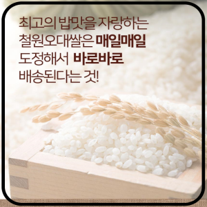 철원동신미곡처리장 두루웰철원오대쌀,원더라이브[철원동신미곡 24년산DMZ햅쌀]10KG두루웰철원오대쌀(DMZ햅쌀)