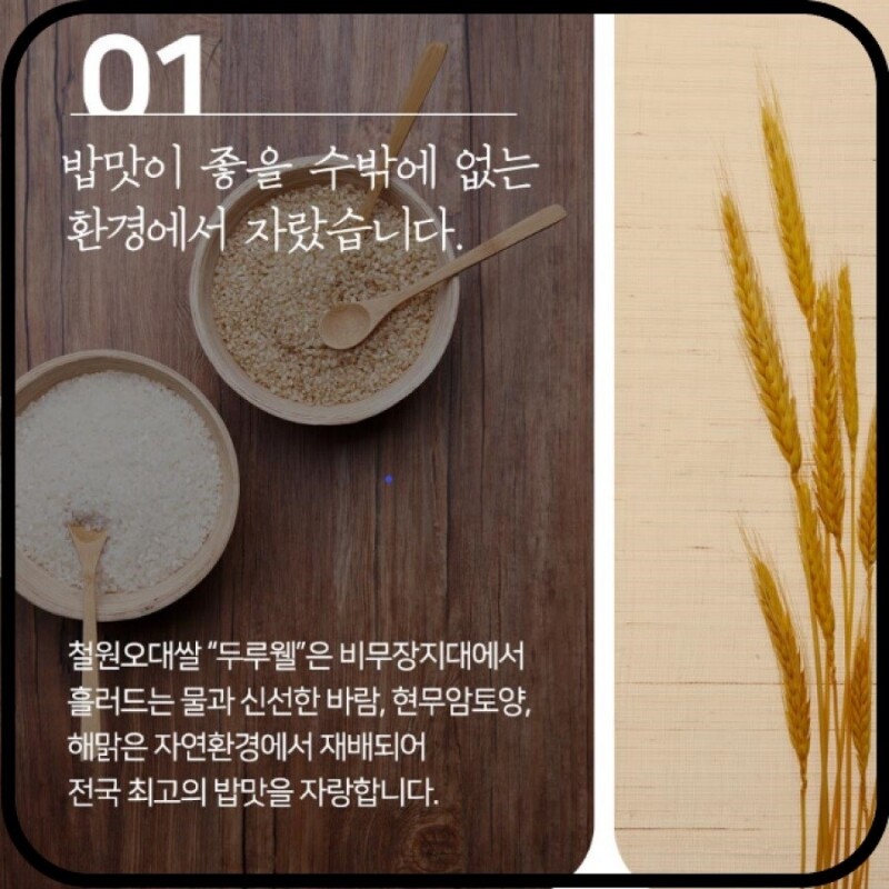 철원동신미곡처리장 두루웰철원오대쌀,[25년산 DMZ햅쌀 철원동신미곡]10KG두루웰철원오대쌀 (찰지고 맛있는 햅쌀)