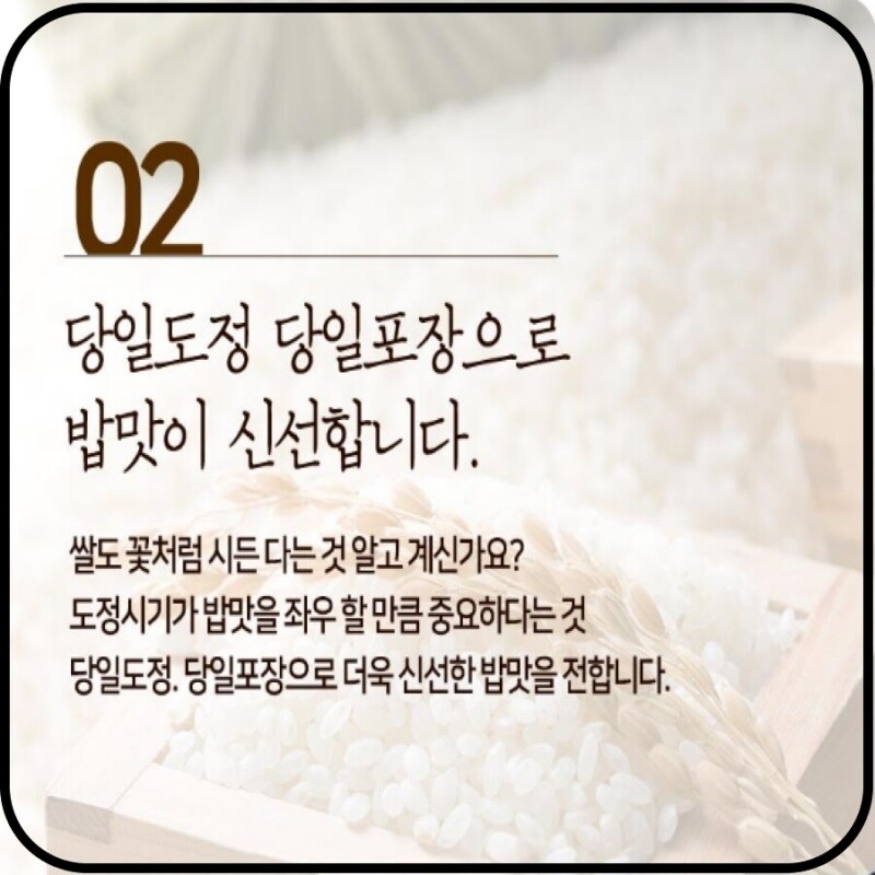 철원동신미곡처리장 두루웰철원오대쌀,[25년산 DMZ햅쌀 철원동신미곡]10KG두루웰철원오대쌀 (찰지고 맛있는 햅쌀)
