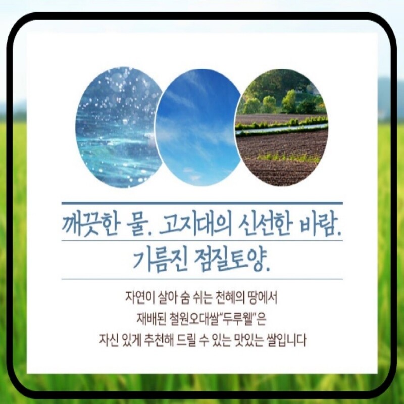 철원동신미곡처리장 두루웰철원오대쌀,[25년산 DMZ햅쌀 철원동신미곡]10KG두루웰철원오대쌀 (찰지고 맛있는 햅쌀)