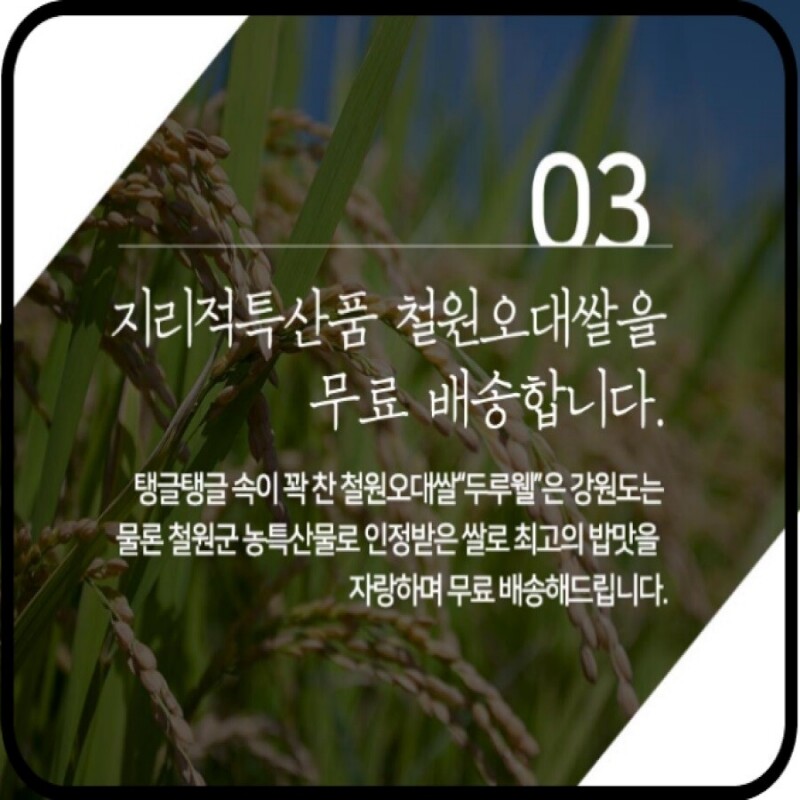 철원동신미곡처리장 두루웰철원오대쌀,[철원동신미곡] 두루웰철원오대쌀10KG (찰지고 맛있는 DMZ햅쌀)